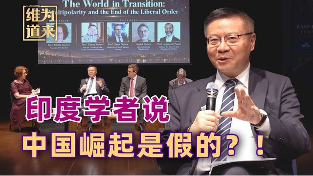 张维为：印度学者说“中国崛起是...