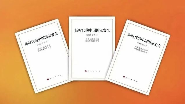 戴维来：以“天下公利”塑造全球...